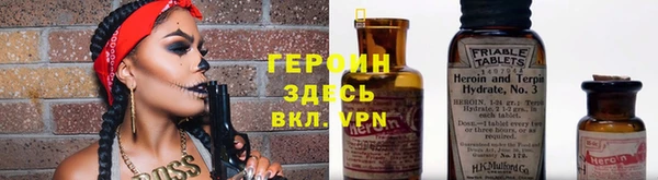сатива Дмитриев
