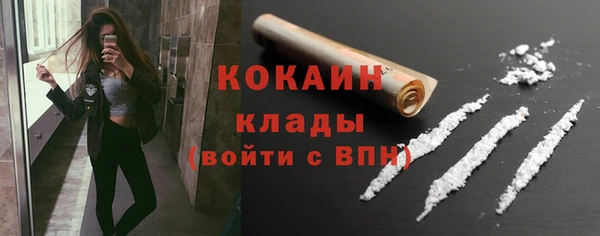 сатива Дмитриев