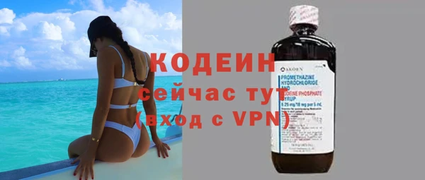 сатива Дмитриев