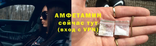 сатива Дмитриев