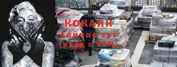 сатива Дмитриев