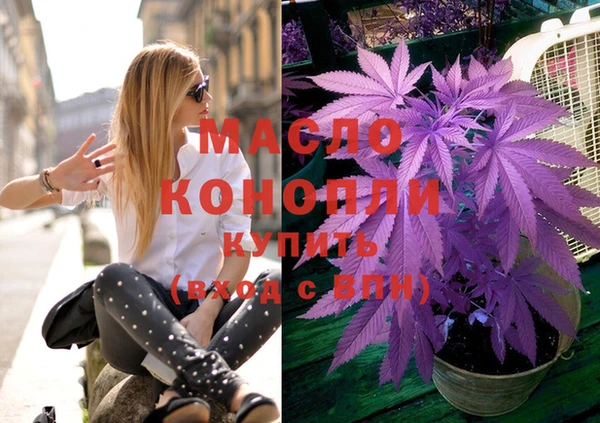 сатива Дмитриев