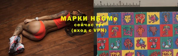 сатива Дмитриев