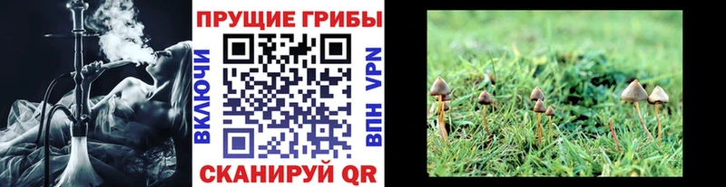 Галлюциногенные грибы MAGIC MUSHROOMS  Протвино 