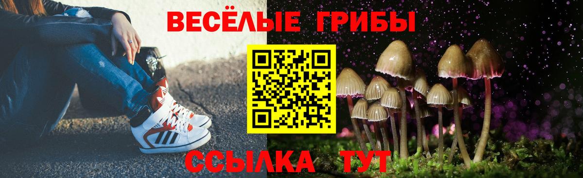 Протвино  Псилоцибиновые грибы Psilocybe  Вход с VPN  закладки  Псилоцибиновые грибы мухоморы 