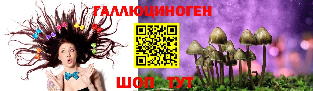 Псилоцибиновые грибы ЛСД Протвино
