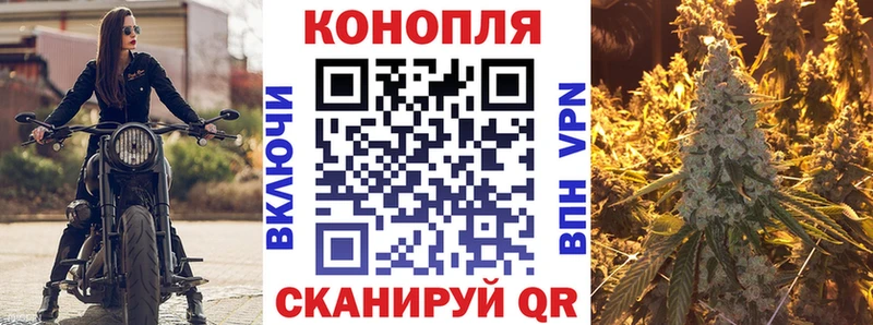 Шишки марихуана гибрид  где купить наркоту  Протвино 